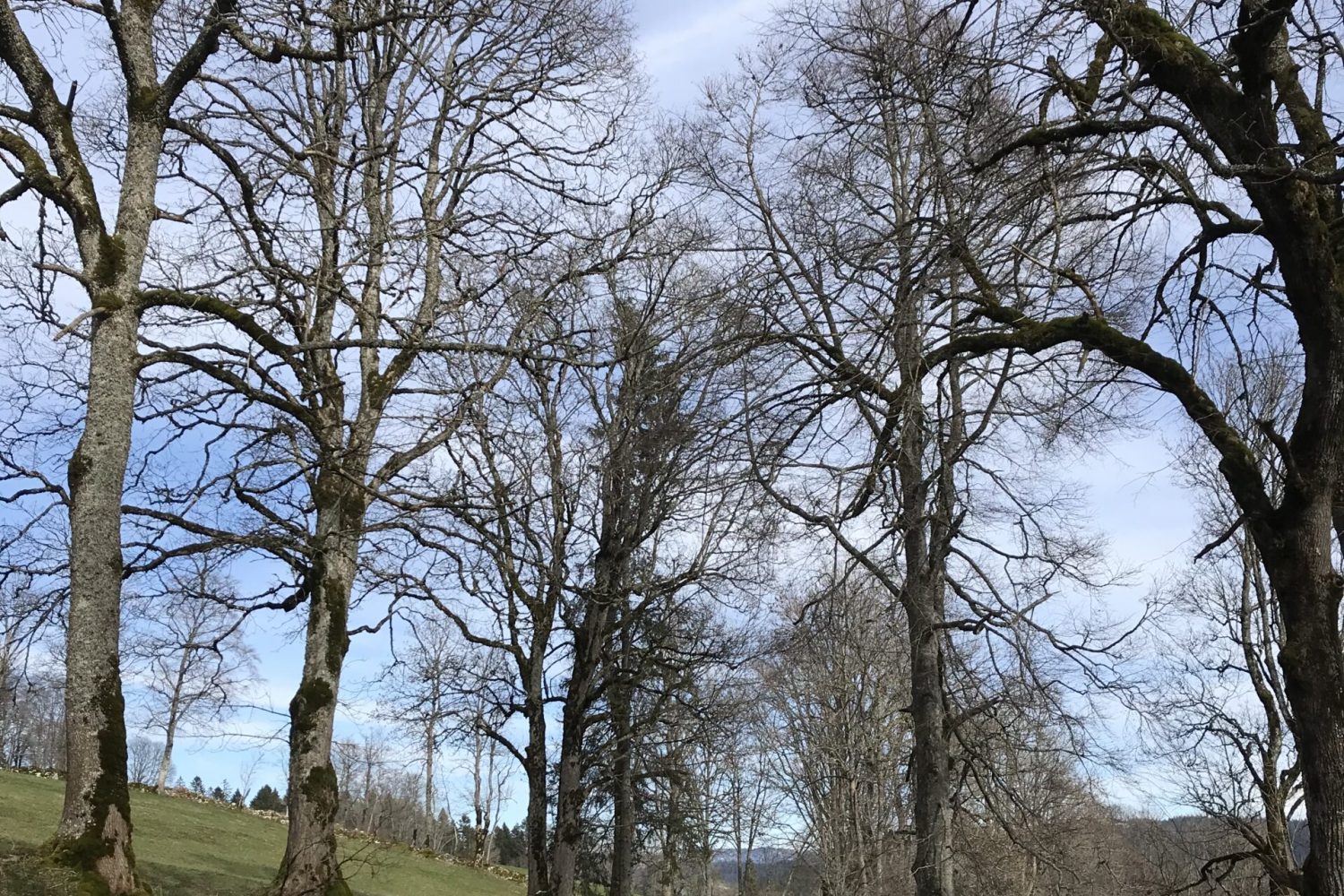 L’arrivée à Bétod depuis Le Cerneux-Péquignot ©Marcel Schiess